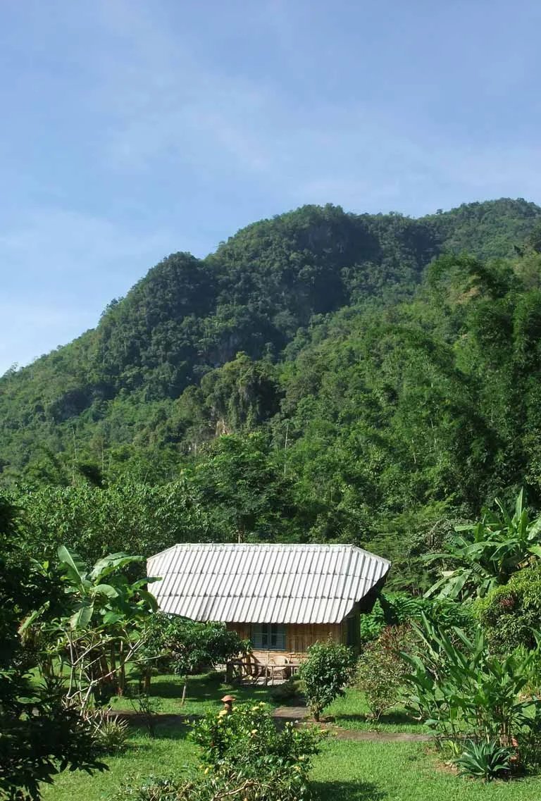 Nest 2 bungalow below Doi Chiang Dao mountain
